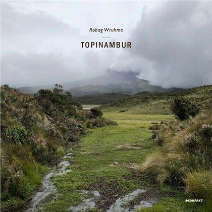 Robag Wruhme - Topinambur (LP)
