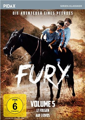 Fury - Die Abenteuer eines Pferdes - Vol. 5 (Pidax Serien-Klassiker, 3 DVDs)