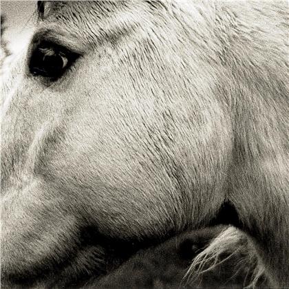Bonny Light Horseman - ---