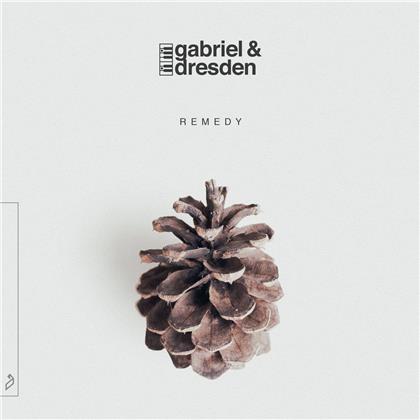 Gabriel & Dresden - Remedy (2 LPs)