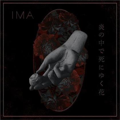Ima - Flowers Die In Burning Fire (LP)