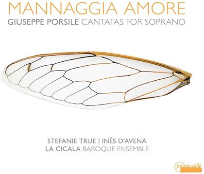 La Cicala Baroque Ensemble & Giuseppe Porsile - Mannaggia Amore