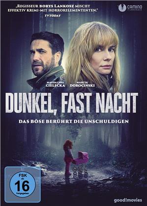 Dunkel, fast Nacht (2019)