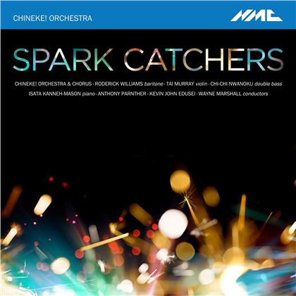Chineke! Orchestra - Spark Catchers