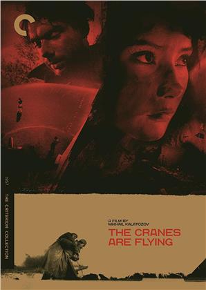 Cranes Are Flying (1957) (Criterion Collection)