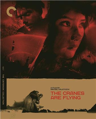 The Cranes Are Flying (1957) (Criterion Collection)