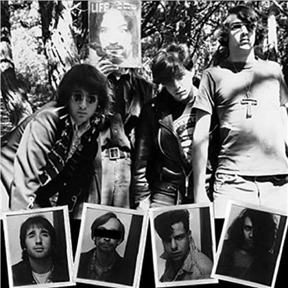 Dwarves - Lick It 1983-86 (Limited Edition, 2 LPs)