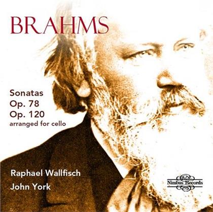 Johannes Brahms (1833-1897), Raphael Wallfisch & John York - Sonatas 78 & 120 Arranged For Cello