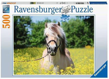 Pferd im Rapsfeld - 500 Teile Puzzle