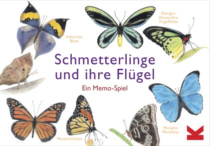 Schmetterlinge und ihre Flügel (Spiel)