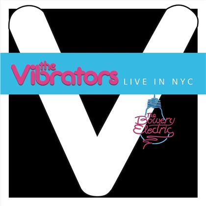 Vibrators - Live In NYC