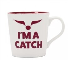 Harry Potter - IM A Catch