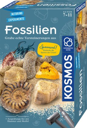Fossilien (Experimentierkasten)
