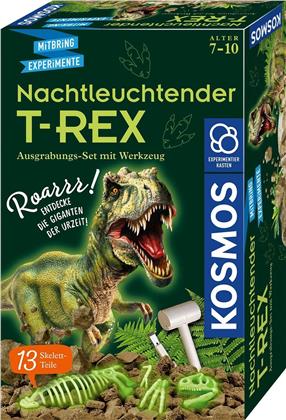 Nachtleuchtender T-Rex - Ausgrabungs-Set