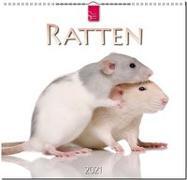 Ratten
