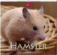 Hamster