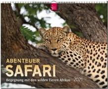 Abenteuer Safari - Begegnung mit den wilden Tieren Afrikas