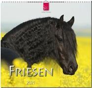 Friesen