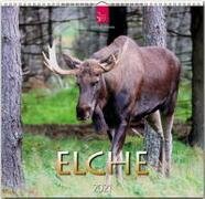 Elche