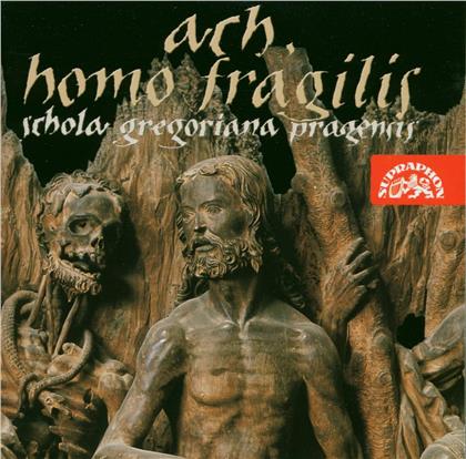 Schola Gregoriana Pragensis - Ach, homo fragilis