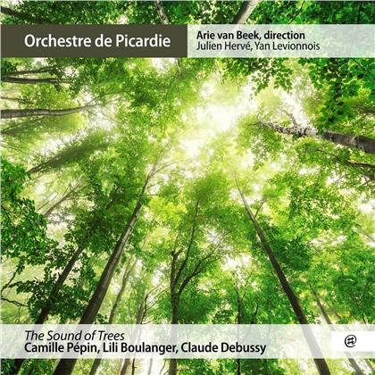 Arie van Beek, Camille Pépin (*1990) & Orchestre De Picardie - Sound Of Trees