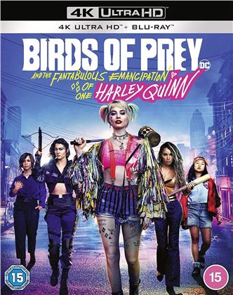 Birds Of Prey (2020) (4K Ultra HD + Blu-ray)