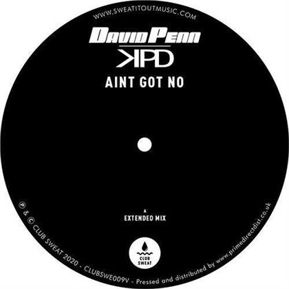 David Penn - Ain't Got No (12" Maxi)