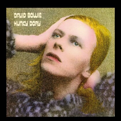 David Bowie: Hunky Dory - 500 Piece Jigsaw Puzzle