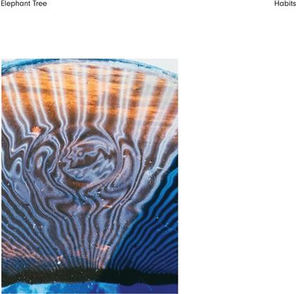 Elephant Tree - Habits