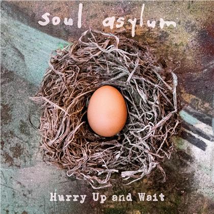 Soul Asylum - Hurry Up and Wait (Gatefold, 2 LPs)