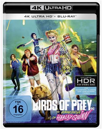 Birds of Prey - The Emancipation of Harley Quinn (2020) (4K Ultra HD + Blu-ray)