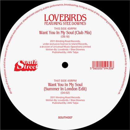 Lovebirds - Want You In My Soul (LP)