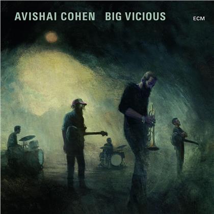 Avishai Cohen - Avishai Cohen Big Vicious