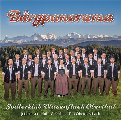 Jodlerklub Blasenflueh Oberthal - Bärgpanorama