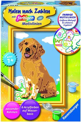 Kleiner Golden Retriever - Malen nach Zahlen