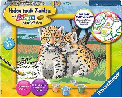 Kleine Leoparden - Malen nach Zahlen