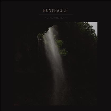 Monteagle - A Colorful Moth EP (12" Maxi)