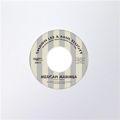 Shawn Lee & Paul Elliott - Mexican Marimba (LP)