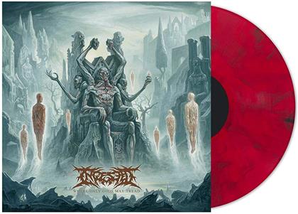 Ingested - Where Only Gods May Tread (Red Vinyl, 2 LPs)