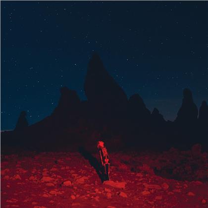 Phoebe Bridgers - Punisher (Édition Limitée, Seaglass Wave Vinyl, LP)