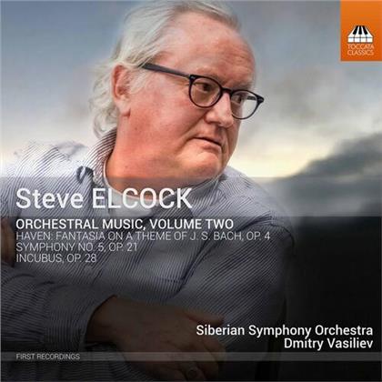 Steve Elcock, Dmitry Vasiliev & Siberian Symphony Orchestra - Orchestral Music 2