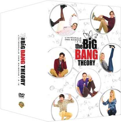 The Big Bang Theory - Saisons 1-12 (37 DVD)