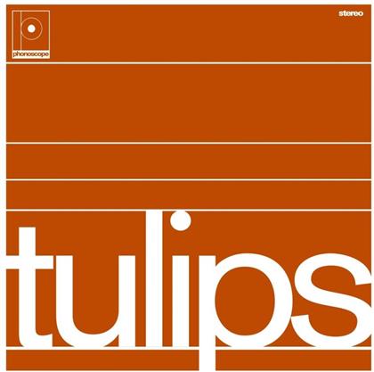 Maston - Tulips (Limited Edition, LP)
