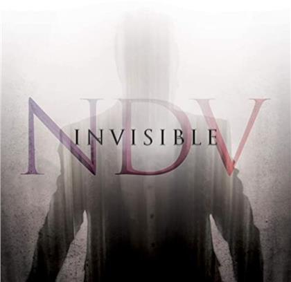 Nick D'Virgilio - Invisible (feat: Jordan Rudess, Paul Gilbert, Tony Levin)