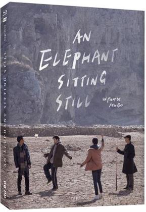 An Elephant Sitting Still (2018) (Blu-ray + DVD)