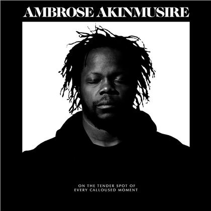 Ambrose Akinmusire - On The Tender Spot Of Every Calloused Moment (LP)