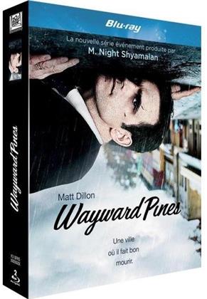 Wayward Pines - Saison 1 (2 Blu-rays)
