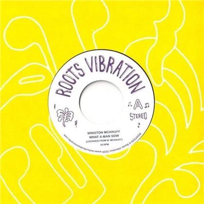 Winston McAnuff - What A Man Sow (7" Single)