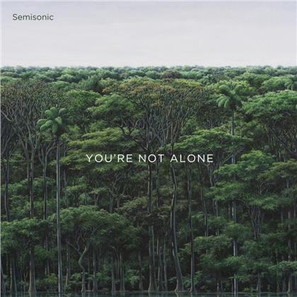 Semisonic - You're Not Alone (12" Maxi)