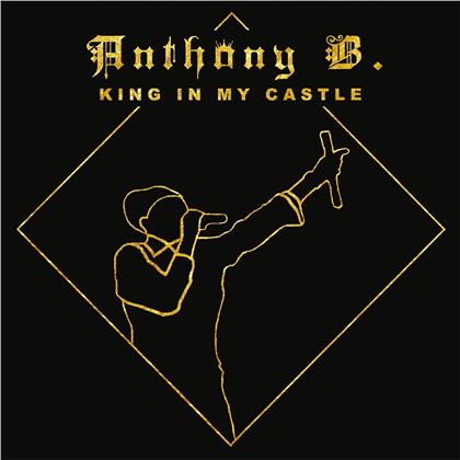 Anthony B - King In My Castle (2 LPs)